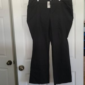 TORRID Dark Grey Slim Flare Trouser